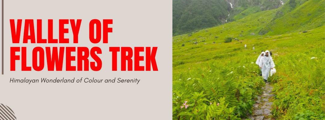 Valley of Flowers Trek